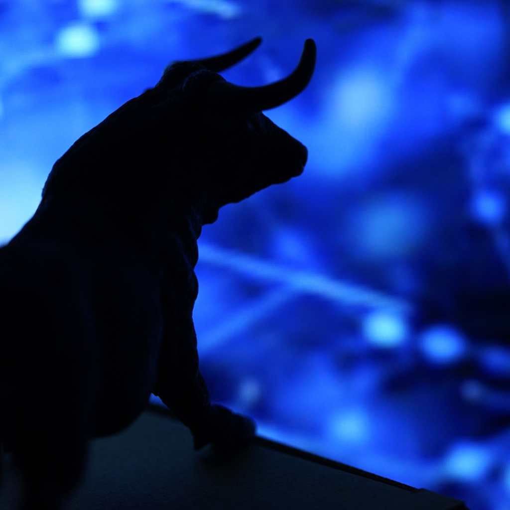 Toros y marketing