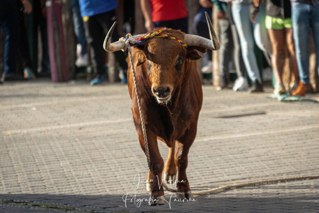 San Marcos 2023 en Beas de Segura