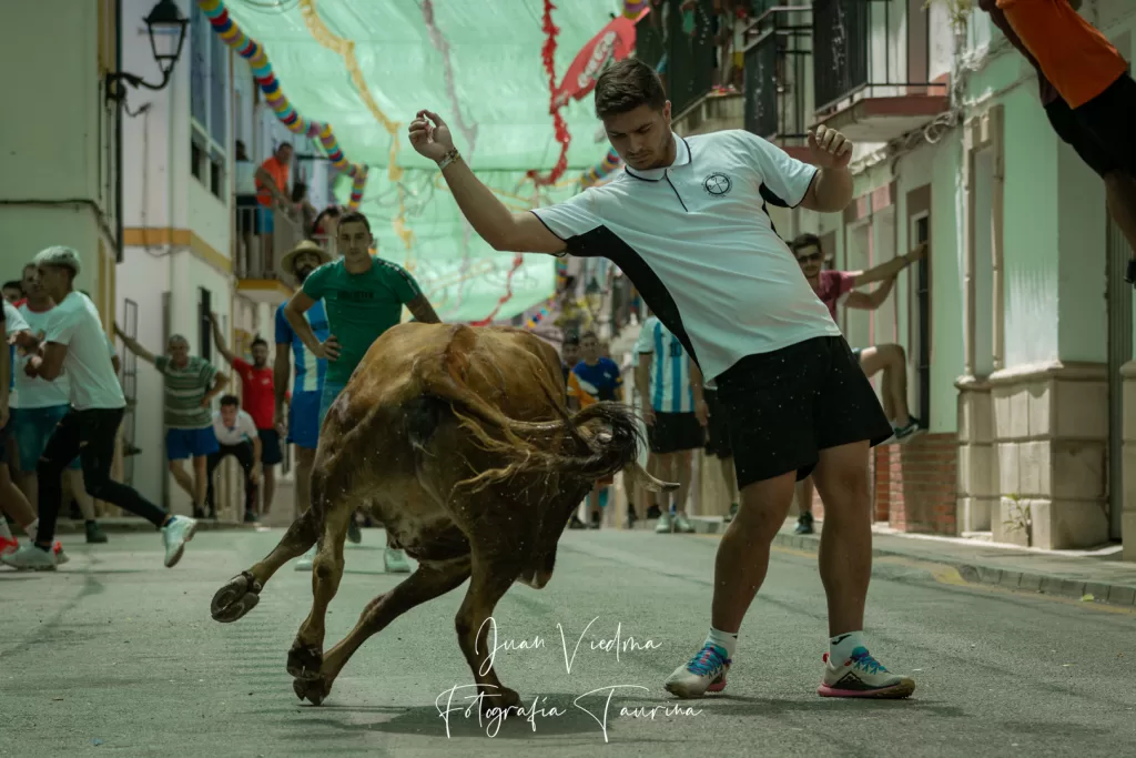 Un mozo da un recorte a la tercera vaca del festejo popular en la Estación de Cortes
